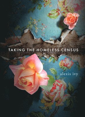 Taking the Homeless Census 1