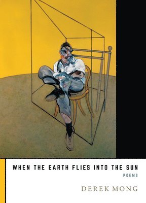 bokomslag When the Earth Flies Into the Sun