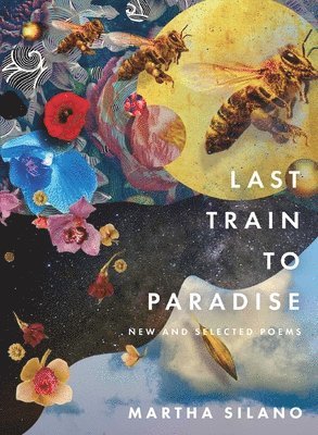 bokomslag Last Train to Paradise