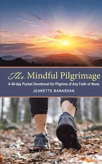 bokomslag Mindful Pilgrimage