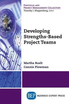bokomslag Developing Strengths-Based Project Teams