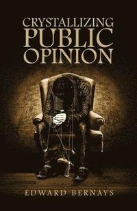 bokomslag Crystallizing Public Opinion