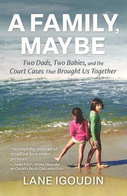 A Family, Maybe: Two Dads, Two Babies, and the Court Cases That Brought Us Together 1