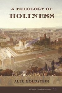 bokomslag A Theology of Holiness: Historical, Exegetical, and Philosophical Perspectives