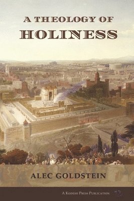 Alec Goldstein - A Theology of Holiness: Historical, Exegetical, and Philosophical Perspectives, Häftad
