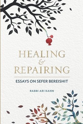Ari D Kahn - Healing & Repairing, Häftad