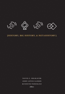 bokomslag History, Big History, & Metahistory