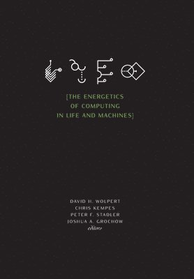 David H Wolpert, Chris Kempes, Peter F Stadler - Energetics of Computing in Life and Machines, Inbunden