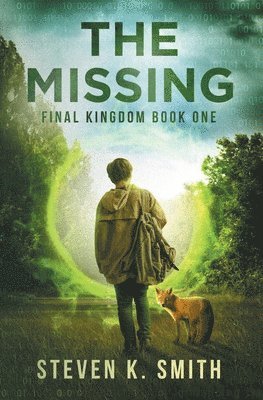 bokomslag Missing
