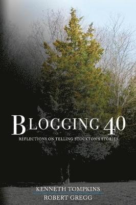 bokomslag Blogging 40