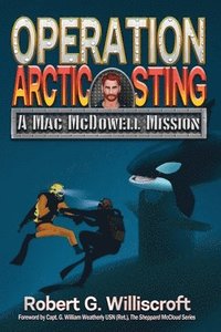bokomslag Operation Arctic Sting