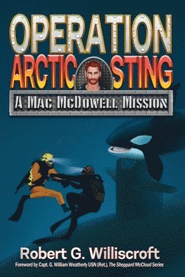 Operation Arctic Sting 1