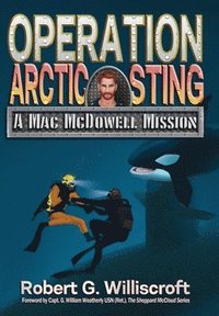 bokomslag Operation Arctic Sting