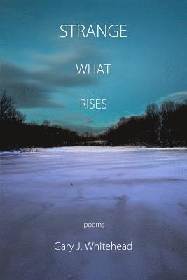 Gary J Whitehead, Gary J. Whitehead, Diane Lockward - Strange What Rises, Häftad