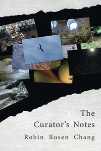 bokomslag Curator's Notes