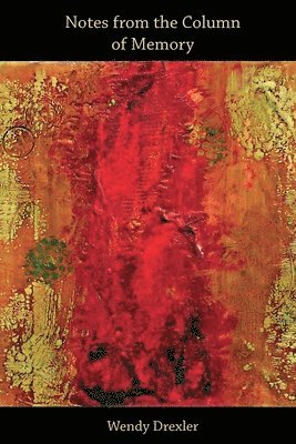 Wendy Drexler - Notes from the Column of Memory, Häftad