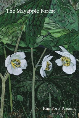 bokomslag Mayapple Forest