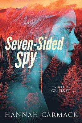 Seven-Sided Spy 1