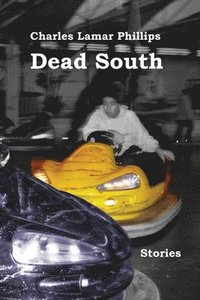 bokomslag Dead South: Stories