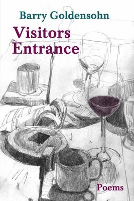 Barry Goldensohn - Visitors Entrance, Häftad