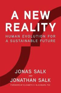 bokomslag A New Reality: Human Evolution for a Sustainable Future