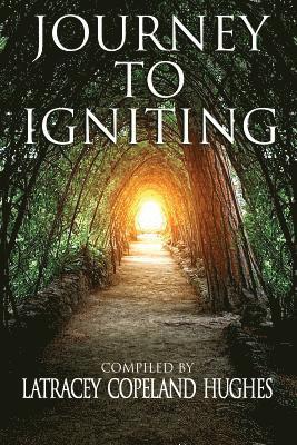 Journey to Igniting 1