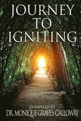 Journey to Igniting 1