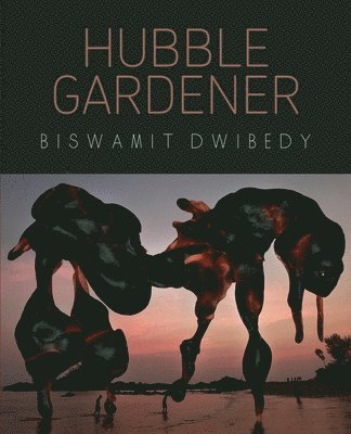 Biswamit Dwibedy - Hubble Gardener, Häftad