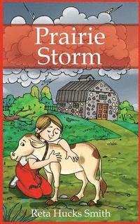bokomslag Prairie Storm