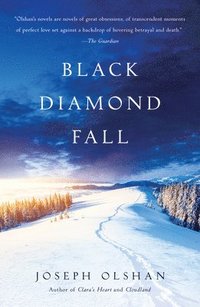 bokomslag Black Diamond Fall
