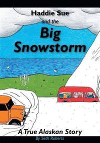 bokomslag Haddie Sue and the Big Snowstorm