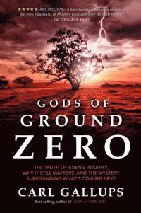 bokomslag Gods of Ground Zero