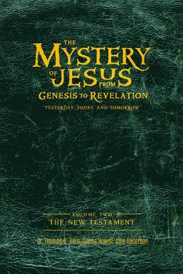 bokomslag The Mystery of Jesus