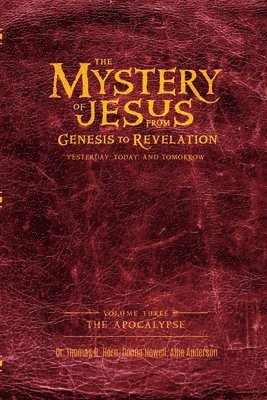 bokomslag The Mystery of Jesus