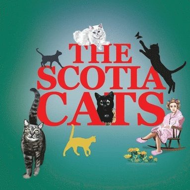 bokomslag Scotia Cats