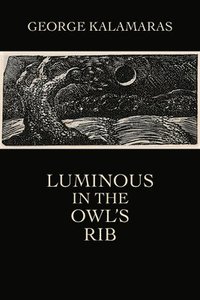 bokomslag Luminous in the Owl's Rib