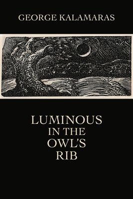 Luminous in the Owl's Rib 1