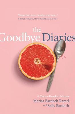bokomslag Goodbye Diaries