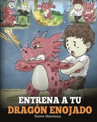 bokomslag Entrena a tu Dragón Enojado