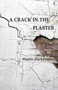 bokomslag A Crack in the Plaster