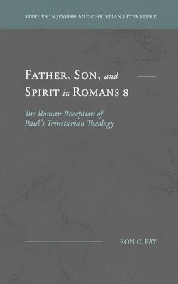 bokomslag Father, Son, and Spirit in Romans 8