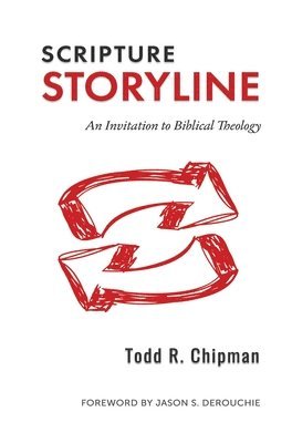 Todd R Chipman - Scripture Storyline, Inbunden