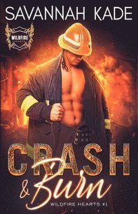 bokomslag Crash & Burn