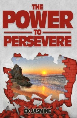 bokomslag The Power to Persevere