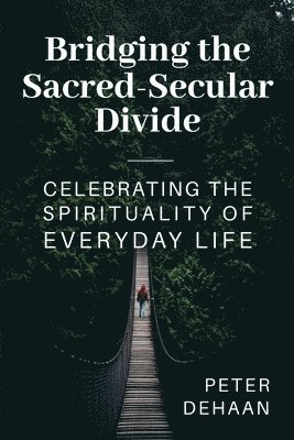 bokomslag Bridging the Sacred-Secular Divide
