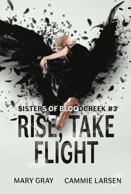 bokomslag Rise, Take Flight