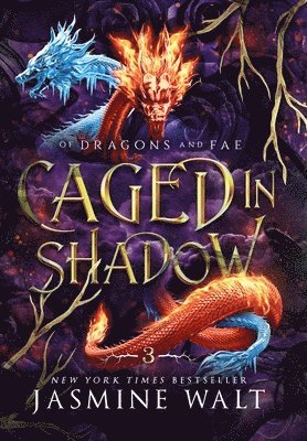 Caged in Shadow 1