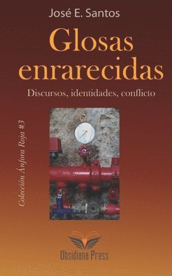 bokomslag Glosas enrarecidas. Discursos, identidades, conflicto.