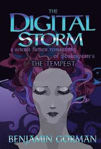 bokomslag The Digital Storm