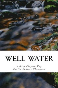 bokomslag Well Water: An Experiment in Poetry